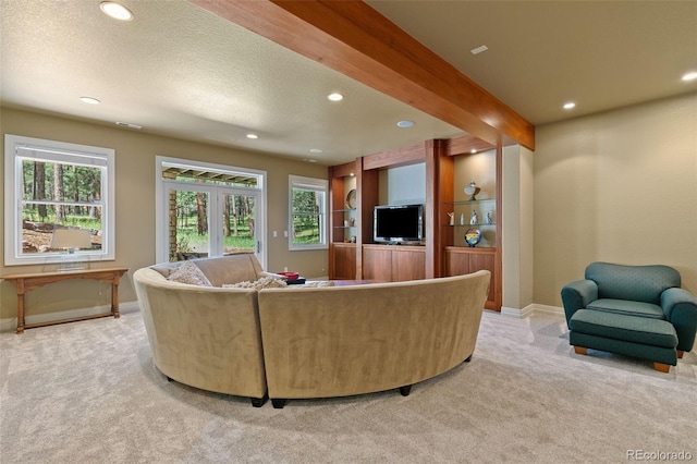 20088 Wissler Ranch Rd, Colorado Springs, CO 80908 - photo 37