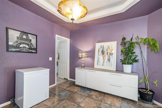 foyer entrance featuring a tray ceiling, baseboards, and ornamental molding