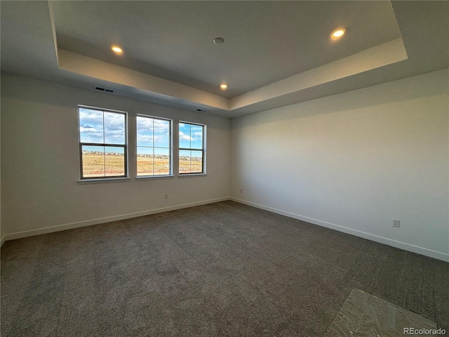 carpeted empty room featuring a raised ceiling