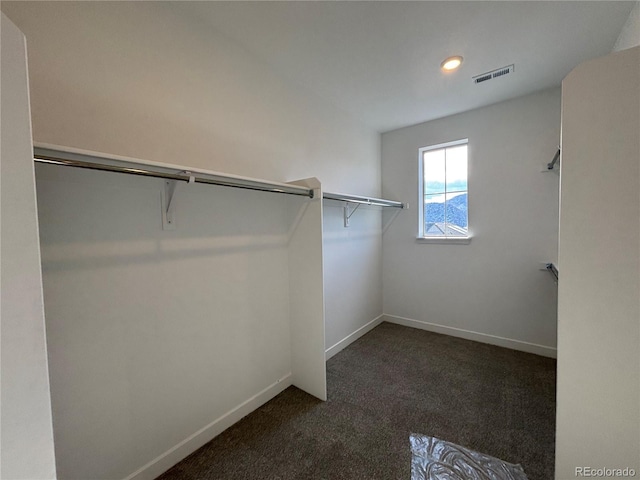 spacious closet featuring dark colored carpet