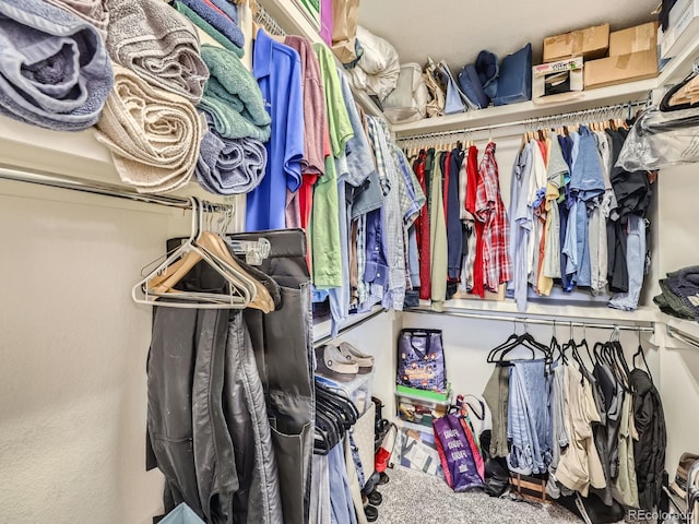 spacious closet featuring carpet flooring