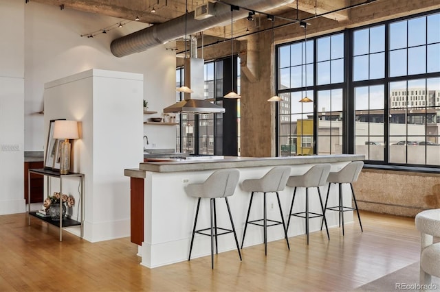 kitchen featuring a high ceiling, a healthy amount of sunlight, rail lighting, and light wood-style floors