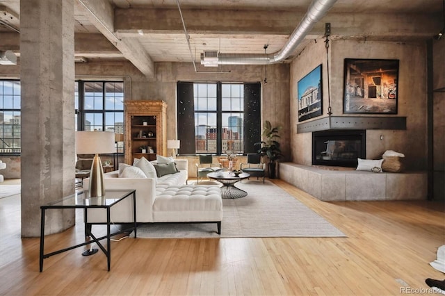 living area with a glass covered fireplace, a healthy amount of sunlight, and hardwood / wood-style floors
