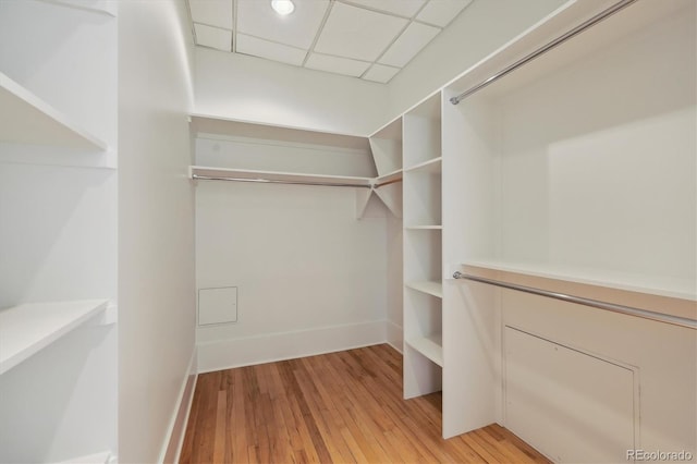 spacious closet with light wood-style flooring and a drop ceiling