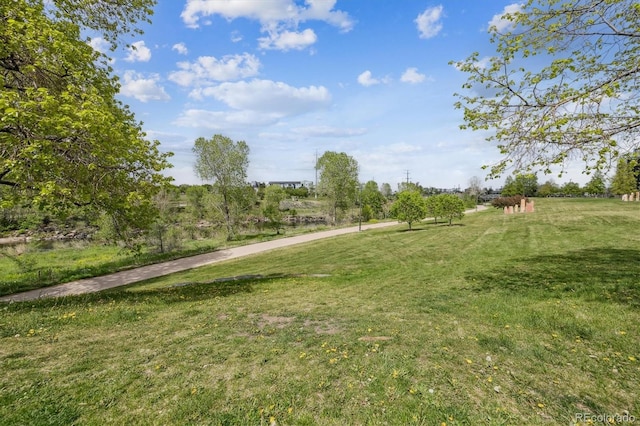 view of yard