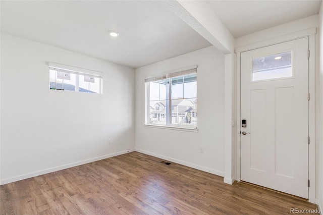 entrance foyer with hardwood / wood-style flooring and plenty of natural light