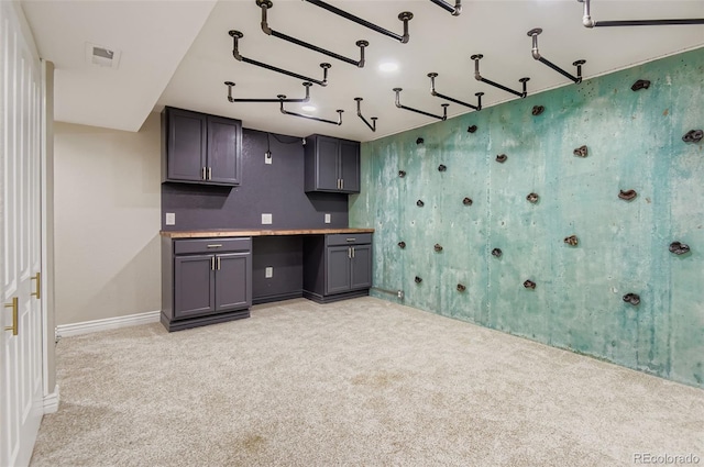 21743 Farmingdale Ct, Parker, CO 80138 - photo 24
