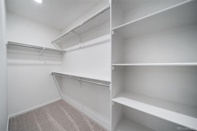 spacious closet with carpet