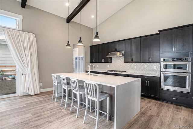 10179 E 59th N Pl, Denver, CO 80238 - kitchen featuring under cabinet range hood, high vaulted ceiling, light wood finished floors, stainless steel appliances, and tasteful backsplash