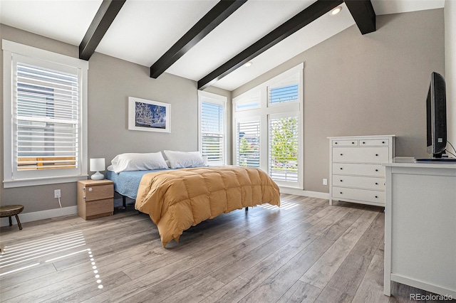 10179 E 59th N Pl, Denver, CO 80238 - bedroom with baseboards and light wood finished floors