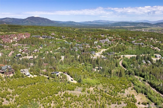 100 Arapahoe Rd, Winter Park, CO 80482 - photo 28