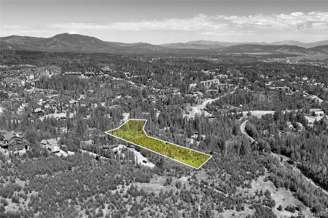 100 Arapahoe Rd, Winter Park, CO 80482 - photo 29