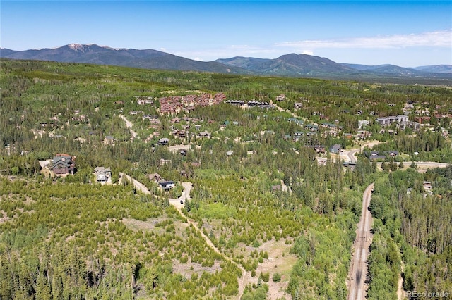 100 Arapahoe Rd, Winter Park, CO 80482 - photo 30