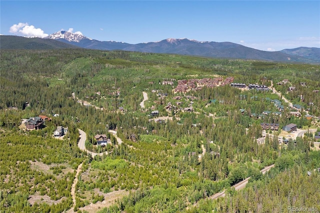 100 Arapahoe Rd, Winter Park, CO 80482 - photo 32