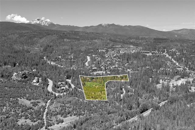 100 Arapahoe Rd, Winter Park, CO 80482 - photo 33
