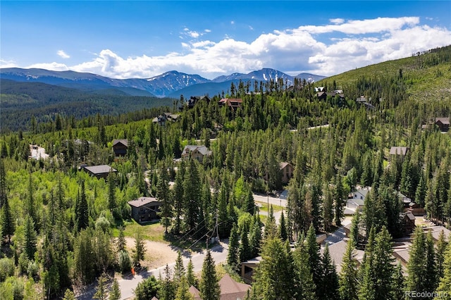 100 Arapahoe Rd, Winter Park, CO 80482 - photo 3