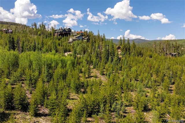 100 Arapahoe Rd, Winter Park, CO 80482 - photo 4