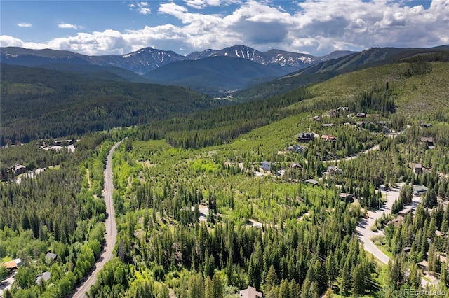 100 Arapahoe Rd, Winter Park, CO 80482 - photo 6