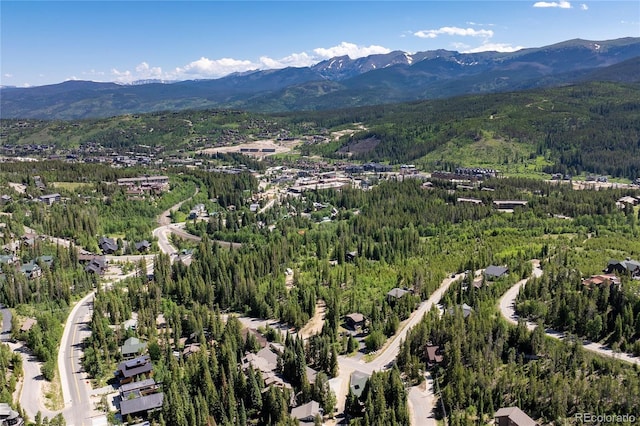 100 Arapahoe Rd, Winter Park, CO 80482 - photo 8