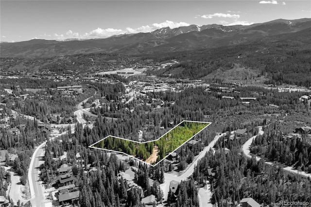 100 Arapahoe Rd, Winter Park, CO 80482 - photo 9