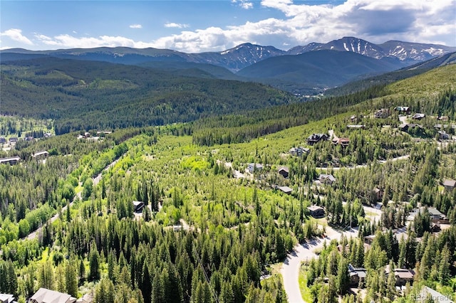 100 Arapahoe Rd, Winter Park, CO 80482 - photo 15