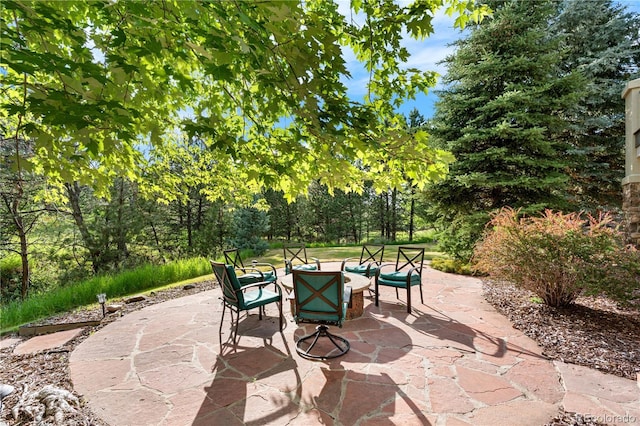 5159 Serene View Way, Parker, CO 80134 - photo 42
