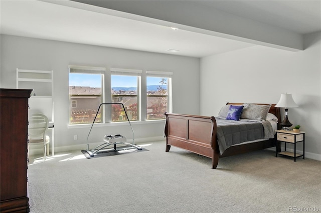 18212 W 95th Pl, Arvada, CO 80007 - bedroom featuring baseboards and carpet