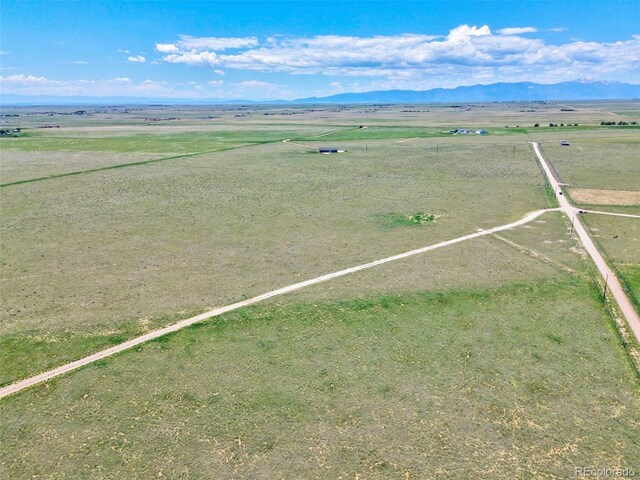 21650 Leona Homestead Vw, Colorado Springs, CO 80930 - photo 5