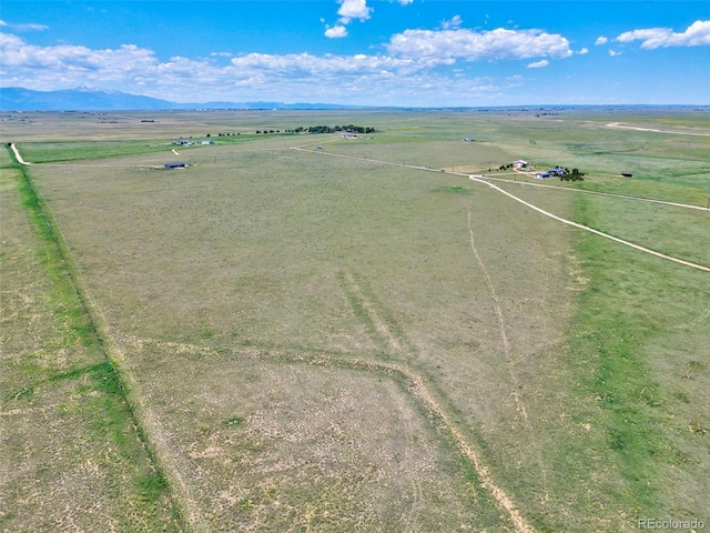 21650 Leona Homestead Vw, Colorado Springs, CO 80930 - photo 11