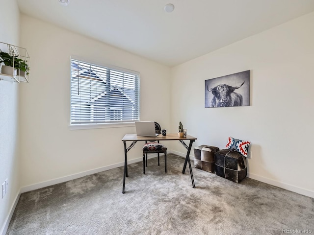 12920 Jasmine St Unit F, Thornton, CO 80602 - photo 24