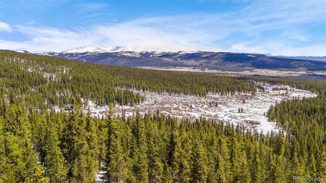 view of mountain feature with a wooded view