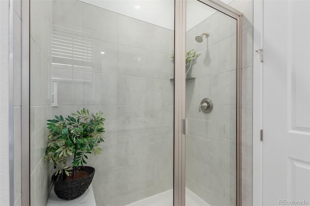 bathroom featuring a shower with shower door