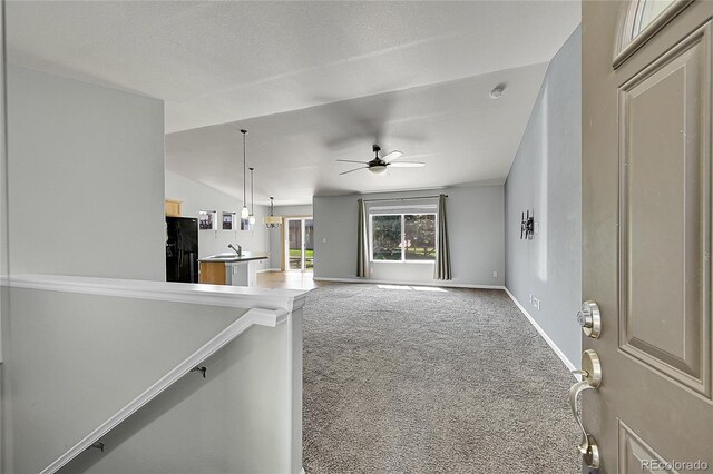 6228 W 14th Street Rd, Greeley, CO 80634 - photo 3