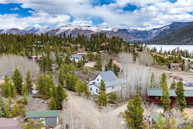 321 County Road 465, Grand Lake, CO 80447 - photo 33