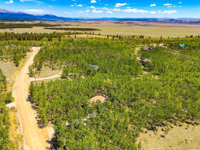 2436 High Creek Rd, Fairplay, CO 80440 - photo 31
