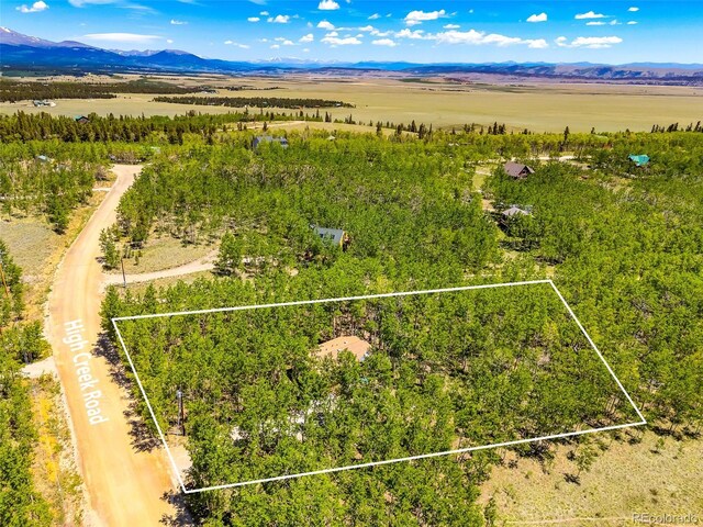 2436 High Creek Rd, Fairplay, CO 80440 - photo 5