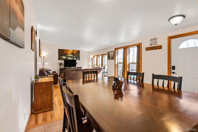 2436 High Creek Rd, Fairplay, CO 80440 - photo 11