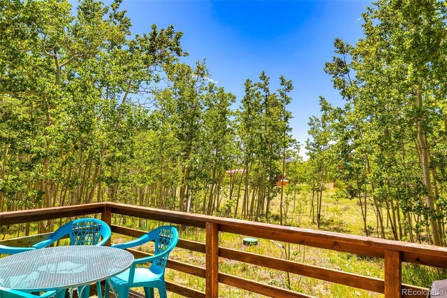 2436 High Creek Rd, Fairplay, CO 80440 - photo 18