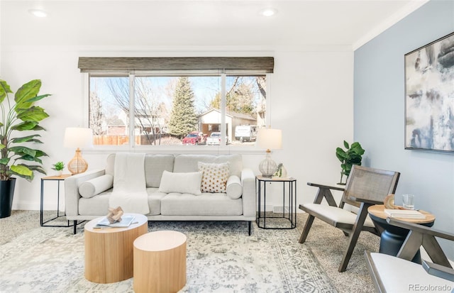 living area with baseboards and crown molding