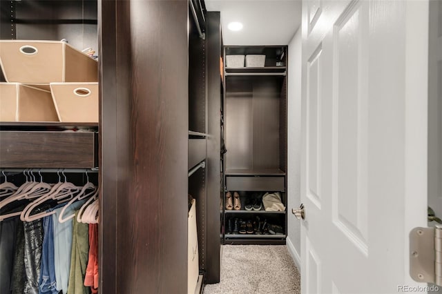 spacious closet featuring carpet floors