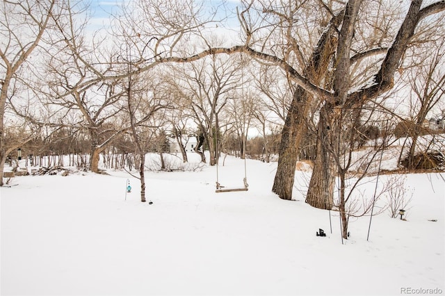 view of yard layered in snow