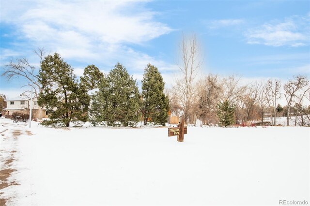 view of yard layered in snow