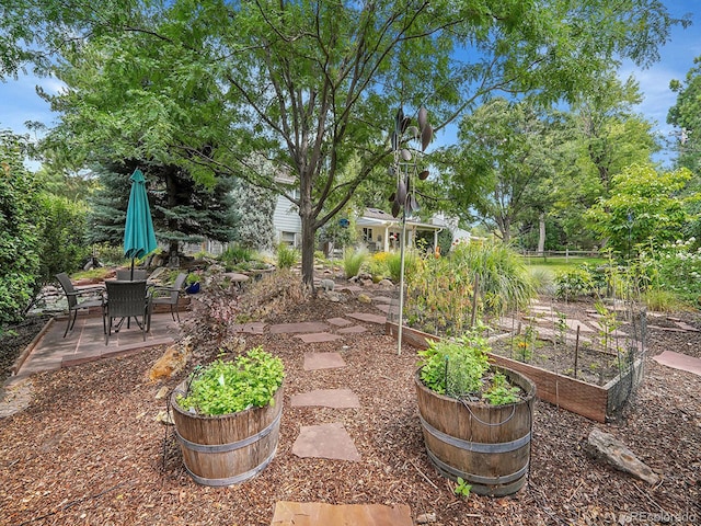 view of yard featuring a patio area