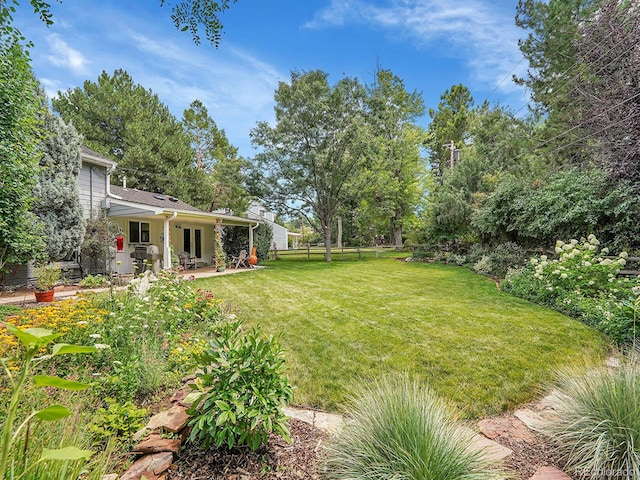 view of yard featuring a patio