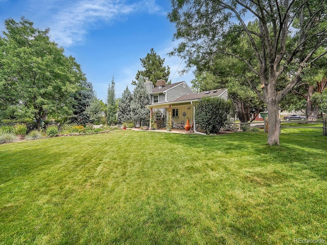 view of yard featuring a patio area