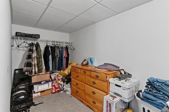 spacious closet with a drop ceiling and carpet floors