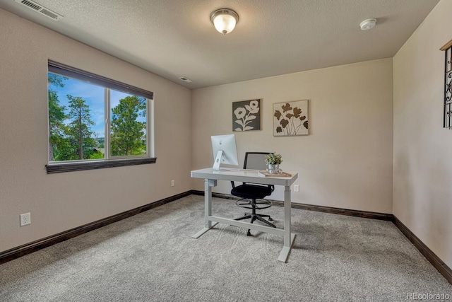 17576 Cabin Hill Ln, Colorado Springs, CO 80908 - photo 20
