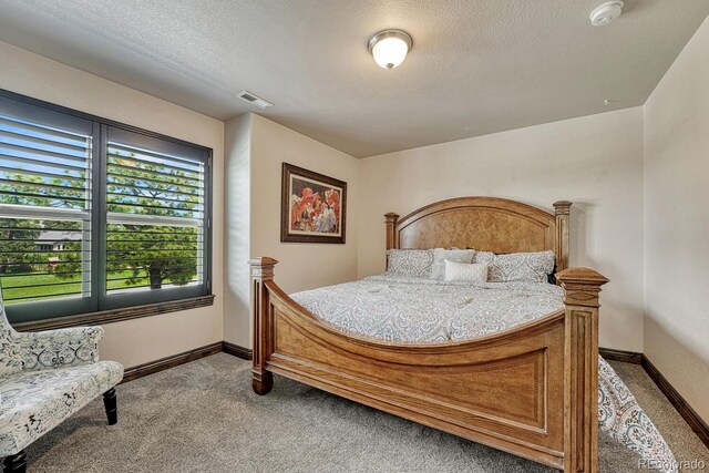 17576 Cabin Hill Ln, Colorado Springs, CO 80908 - photo 24
