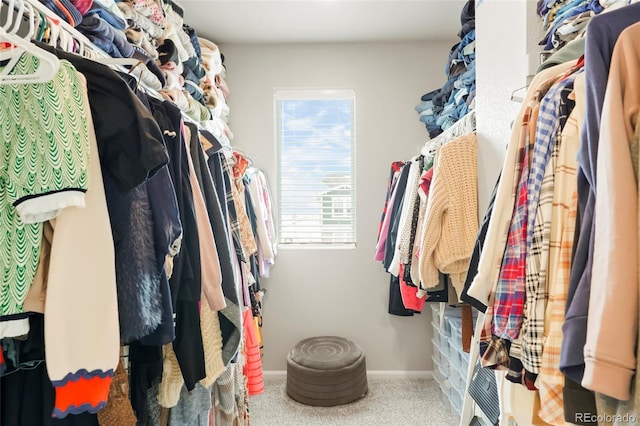 view of walk in closet