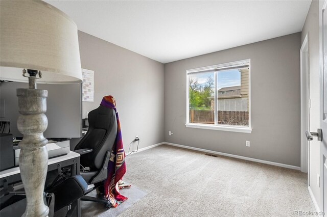 133 Heritage Ave, Castle Rock, CO 80104 - photo 19